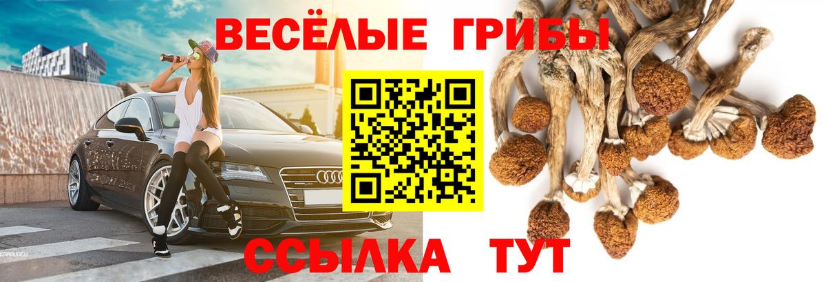 Звенигород  Псилоцибиновые грибы MAGIC MUSHROOMS  Вход с VPN 
